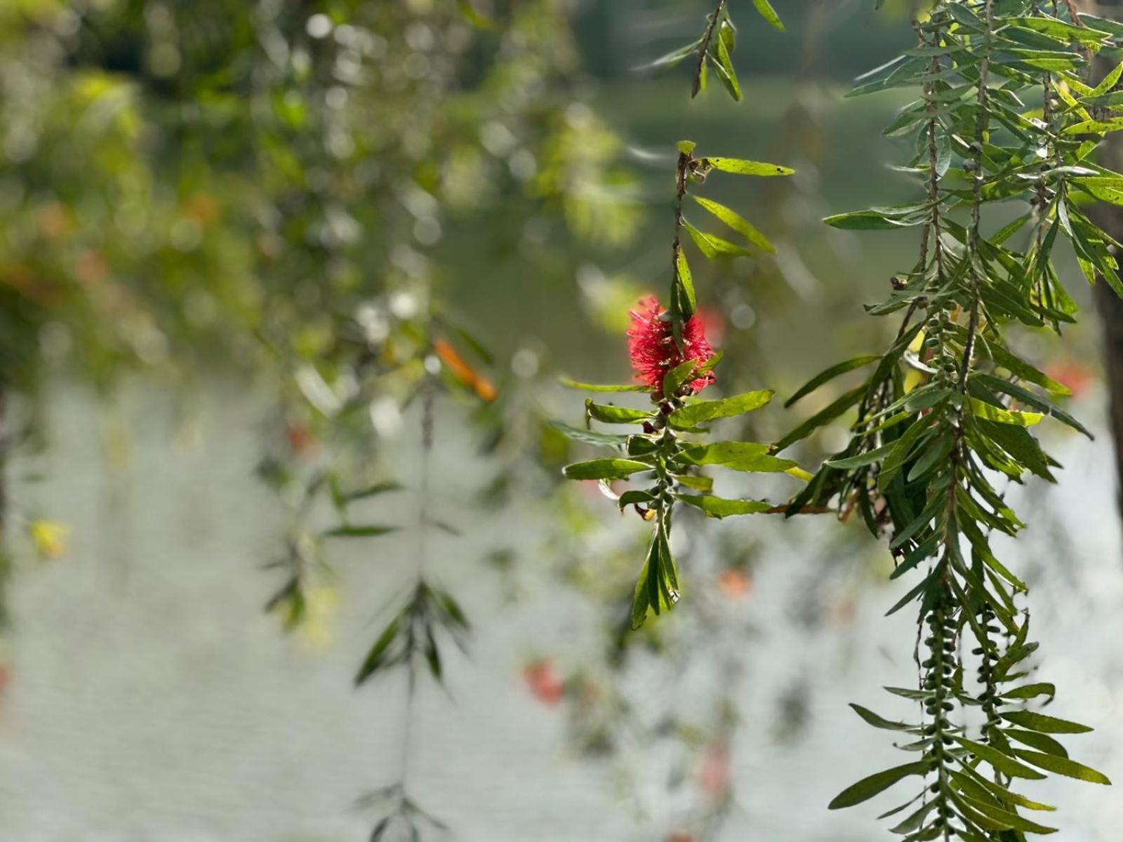 Lakeside Cottage By Clover Nuwara Eliya Luaran gambar