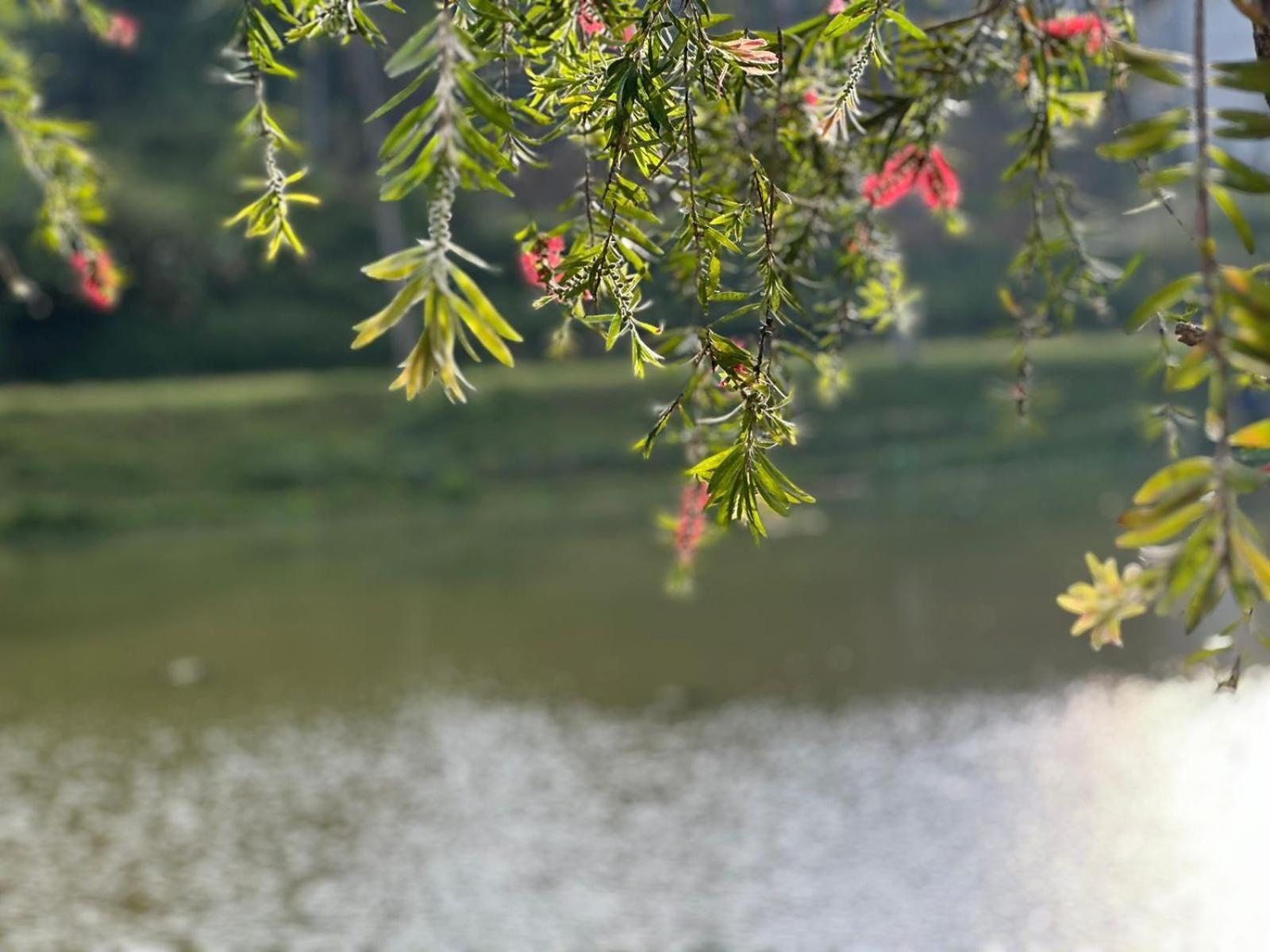 Lakeside Cottage By Clover Nuwara Eliya Luaran gambar