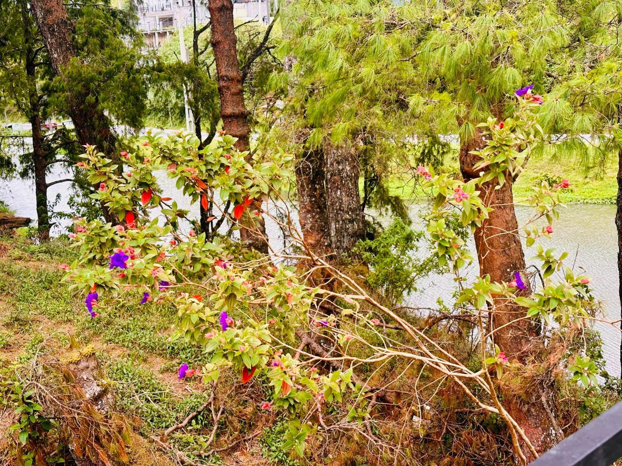 Lakeside Cottage By Clover Nuwara Eliya Luaran gambar
